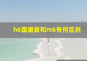 h6国潮版和m6有何区别