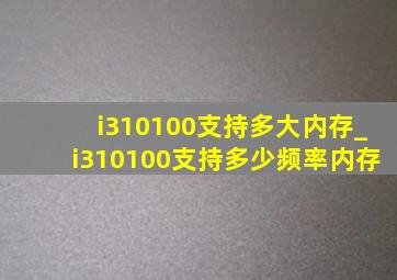 i310100支持多大内存_i310100支持多少频率内存