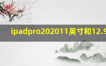 ipadpro202011英寸和12.9英寸