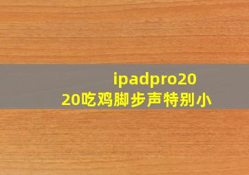 ipadpro2020吃鸡脚步声特别小