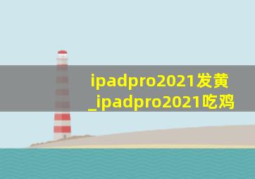 ipadpro2021发黄_ipadpro2021吃鸡