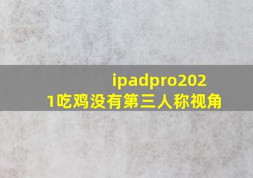 ipadpro2021吃鸡没有第三人称视角