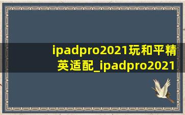 ipadpro2021玩和平精英适配_ipadpro2021玩和平精英发热