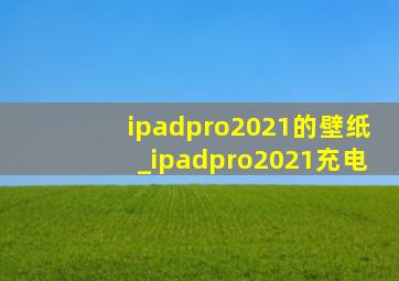 ipadpro2021的壁纸_ipadpro2021充电