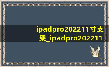 ipadpro202211寸支架_ipadpro202211寸使用技巧