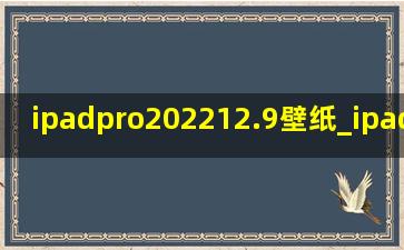 ipadpro202212.9壁纸_ipadpro202212.9寸游戏测评