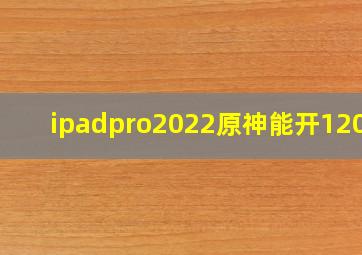 ipadpro2022原神能开120吗