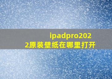 ipadpro2022原装壁纸在哪里打开