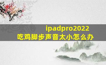 ipadpro2022吃鸡脚步声音太小怎么办