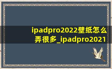 ipadpro2022壁纸怎么弄很多_ipadpro202112.9寸壁纸