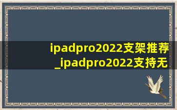 ipadpro2022支架推荐_ipadpro2022支持无线充吗