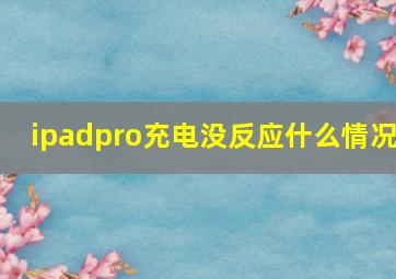 ipadpro充电没反应什么情况