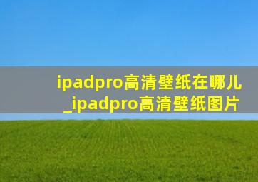 ipadpro高清壁纸在哪儿_ipadpro高清壁纸图片