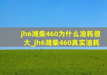 jh6潍柴460为什么油耗很大_jh6潍柴460真实油耗