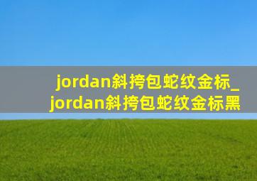 jordan斜挎包蛇纹金标_jordan斜挎包蛇纹金标黑