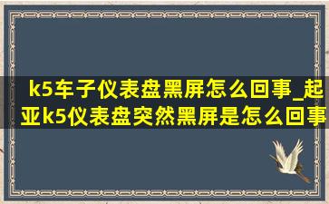 k5车子仪表盘黑屏怎么回事_起亚k5仪表盘突然黑屏是怎么回事