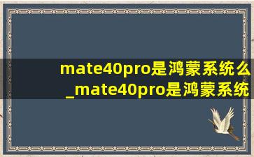 mate40pro是鸿蒙系统么_mate40pro是鸿蒙系统吗