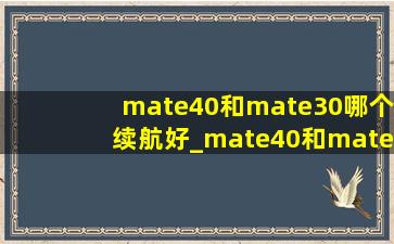 mate40和mate30哪个续航好_mate40和mate30哪个好