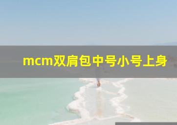 mcm双肩包中号小号上身