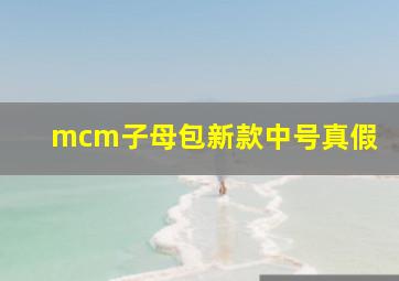 mcm子母包新款中号真假