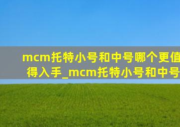 mcm托特小号和中号哪个更值得入手_mcm托特小号和中号