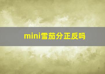 mini雪茄分正反吗