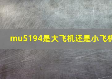 mu5194是大飞机还是小飞机