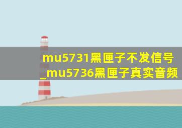 mu5731黑匣子不发信号_mu5736黑匣子真实音频