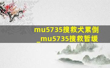 mu5735搜救犬累倒_mu5735搜救暂缓