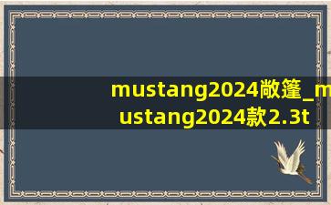 mustang2024敞篷_mustang2024款2.3t马力