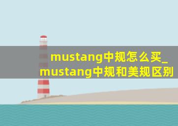 mustang中规怎么买_mustang中规和美规区别