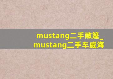 mustang二手敞篷_mustang二手车威海