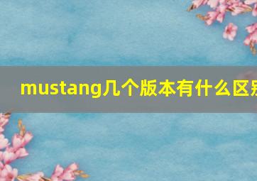 mustang几个版本有什么区别