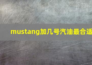 mustang加几号汽油最合适