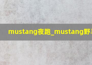 mustang夜跑_mustang野马夜跑