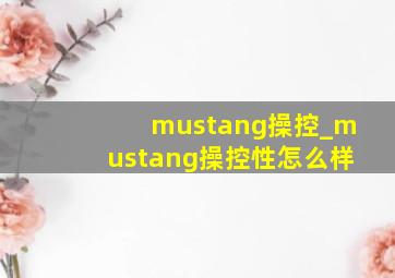 mustang操控_mustang操控性怎么样