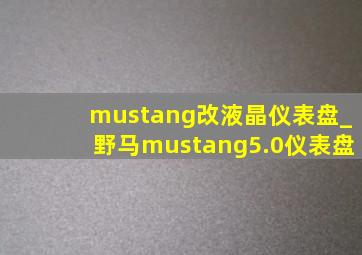 mustang改液晶仪表盘_野马mustang5.0仪表盘