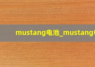 mustang电池_mustang电子