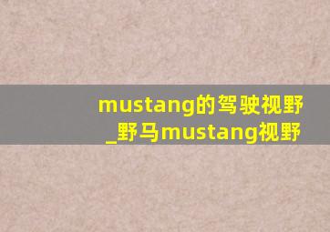 mustang的驾驶视野_野马mustang视野