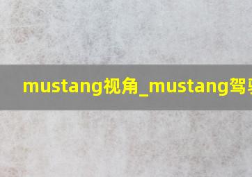 mustang视角_mustang驾驶视角