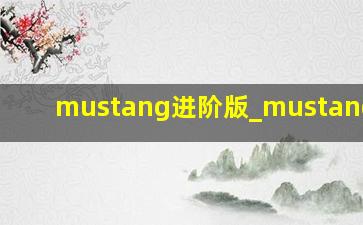 mustang进阶版_mustang2.3t