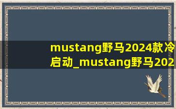 mustang野马2024款冷启动_mustang野马2024款多少钱