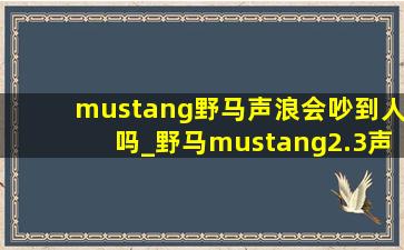 mustang野马声浪会吵到人吗_野马mustang2.3声浪