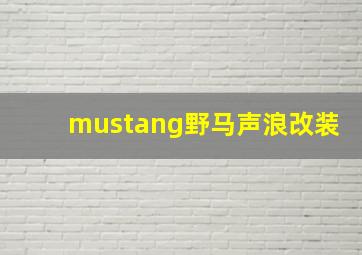 mustang野马声浪改装