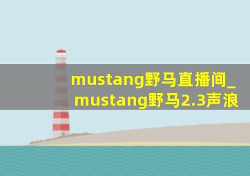 mustang野马直播间_mustang野马2.3声浪