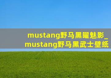 mustang野马黑曜魅影_mustang野马黑武士壁纸