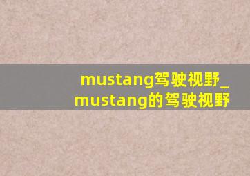 mustang驾驶视野_mustang的驾驶视野