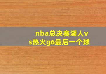 nba总决赛湖人vs热火g6最后一个球