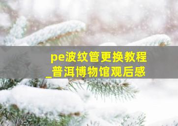 pe波纹管更换教程_普洱博物馆观后感