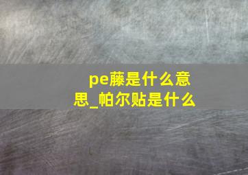 pe藤是什么意思_帕尔贴是什么